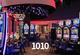 Sistema VIP 1010